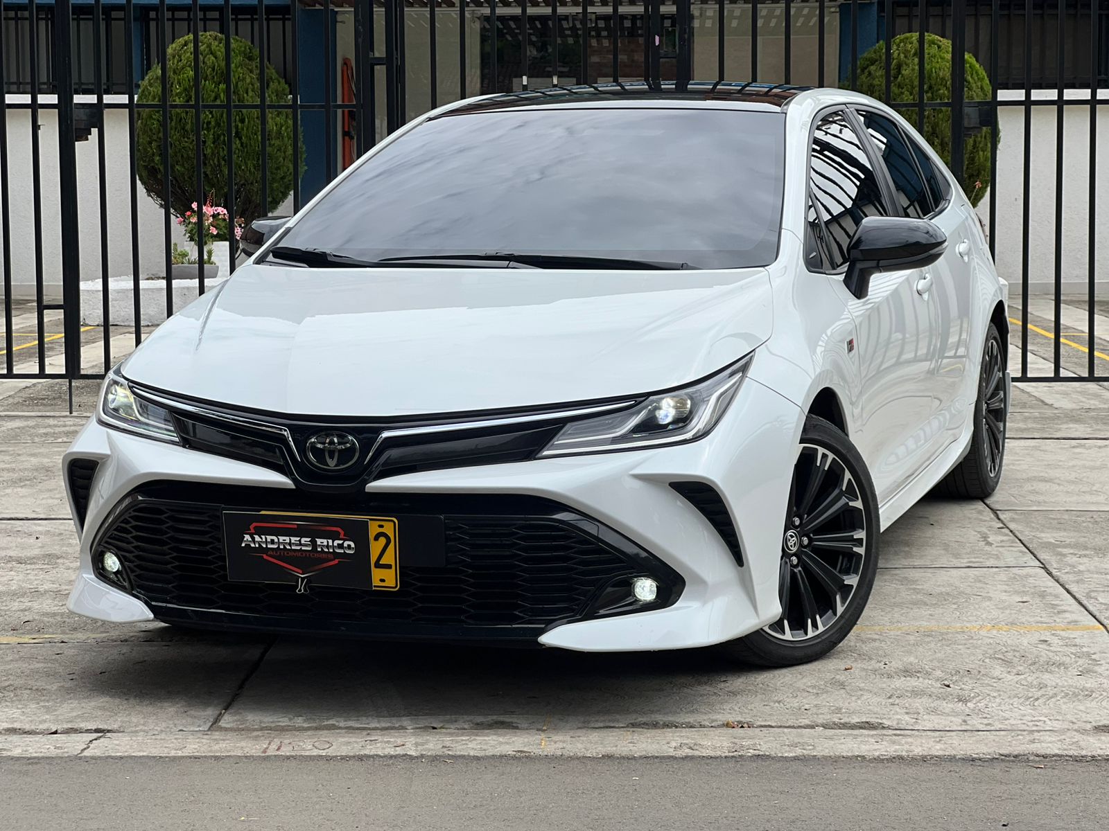 WhatsApp-Image-2026-01-13-at-11.54.30-AM