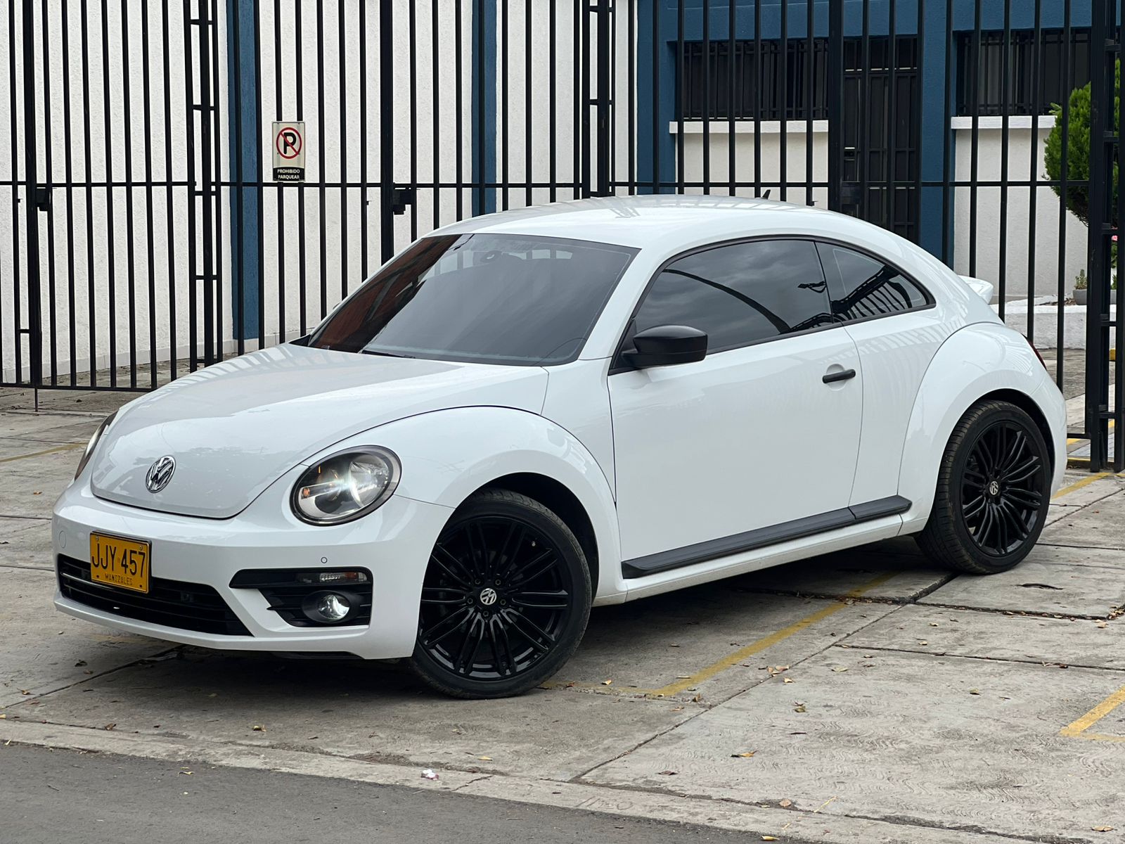 WhatsApp-Image-2026-02-10-at-2.30.35-PM