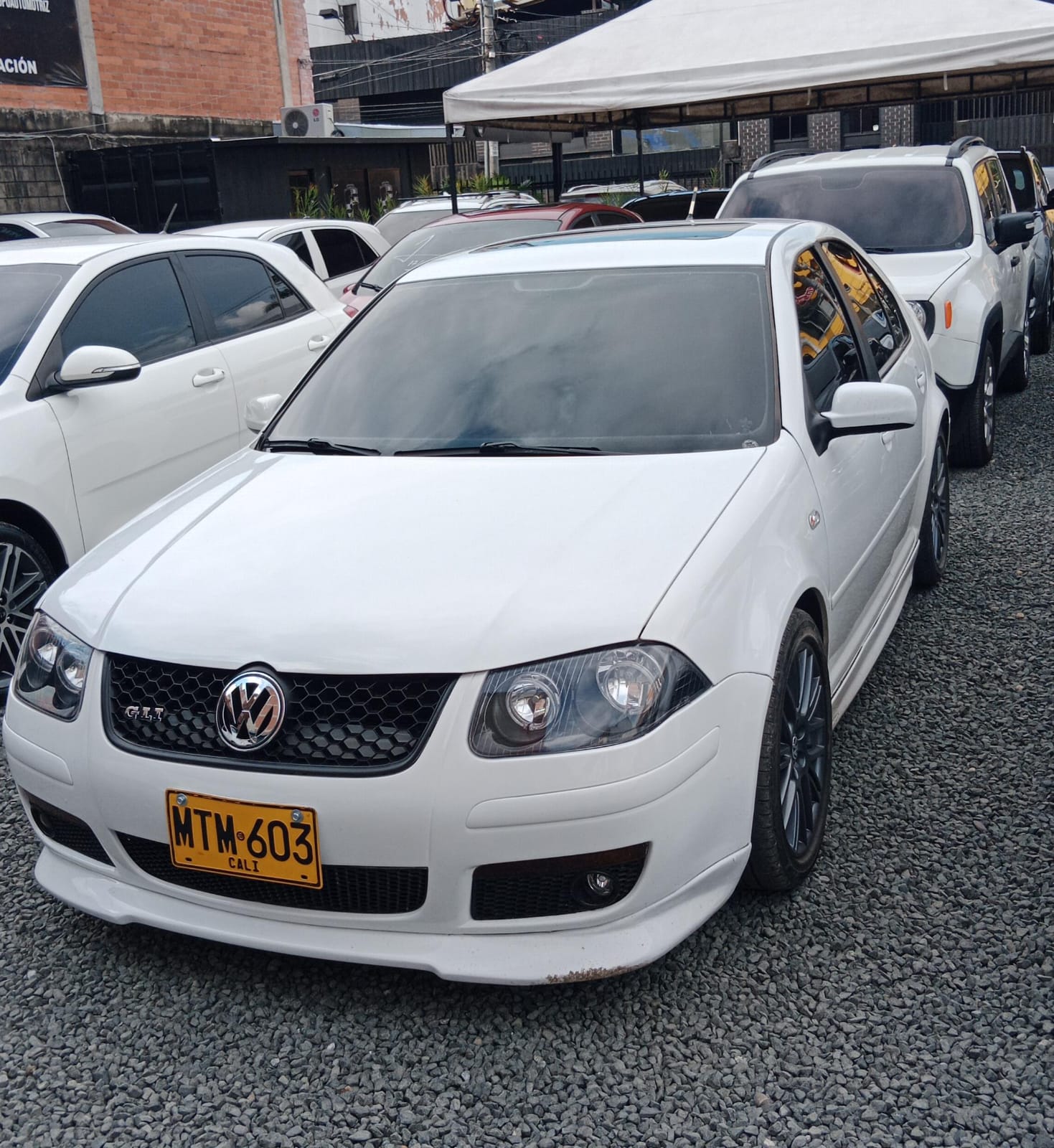 WhatsApp-Image-2026-02-10-at-2.50.07-PM-1