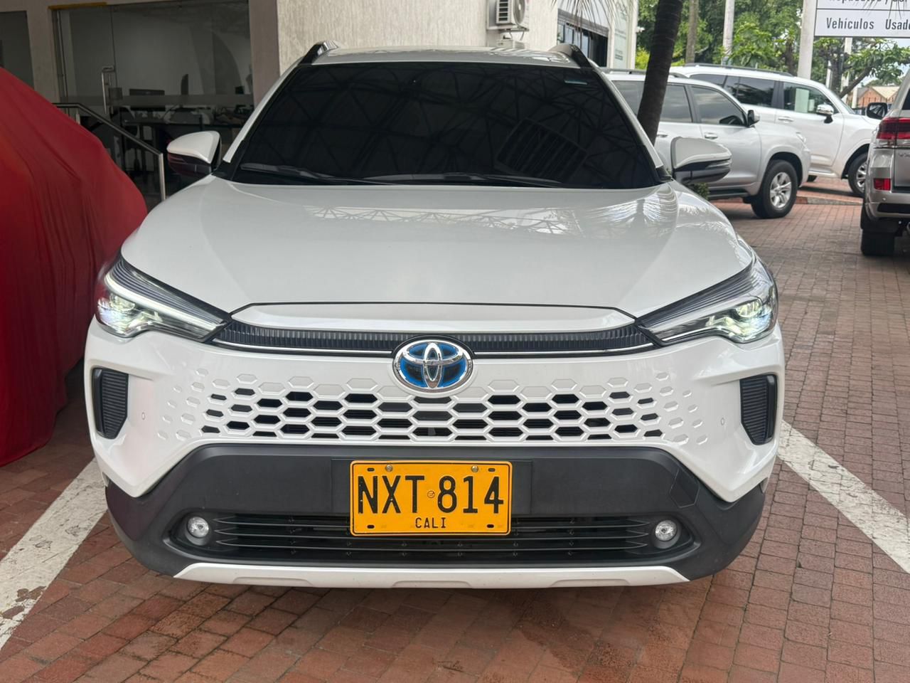 PHOTO-2026-04-24-10-49-47