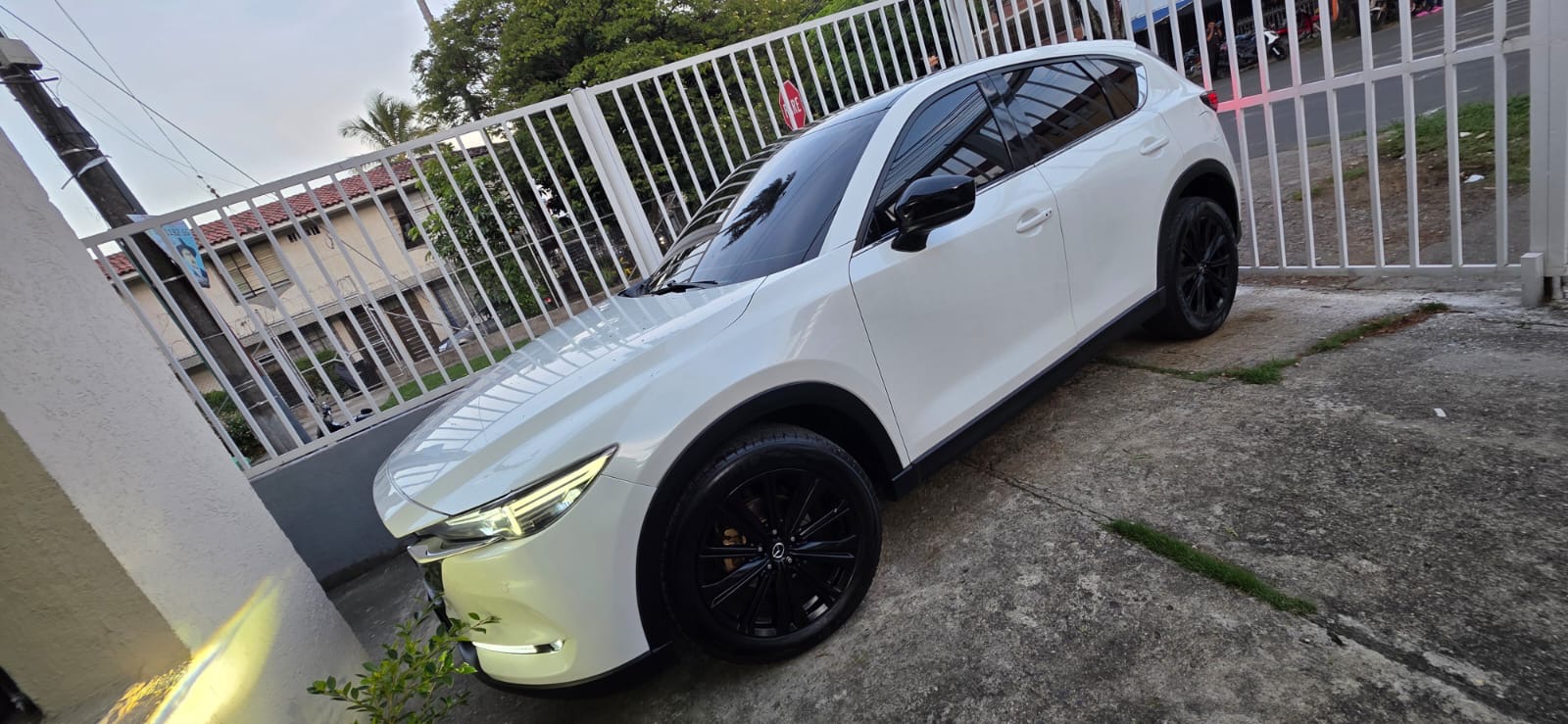 1f032d0a-4441-4f69-b487-f1f91303e8b5