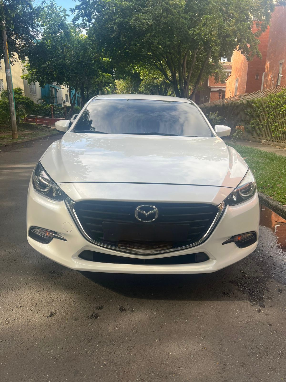 WhatsApp-Image-2026-04-22-at-12.12.39